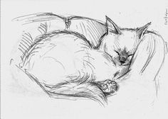 a drawing of a cat sleeping on a pillow