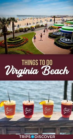 things to do in virginia beach