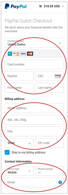 the paypai checkout page is shown in red