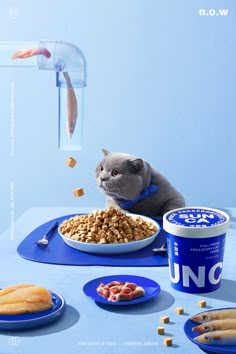 a cat sitting at a table with food on it and an ice cream container next to it