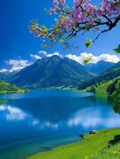 a lake surrounded by mountains and flowers in the foreground is blue sky with white clouds