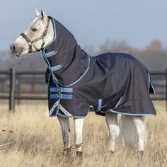 a white horse wearing a black and blue blanket standing in tall grass near a fence