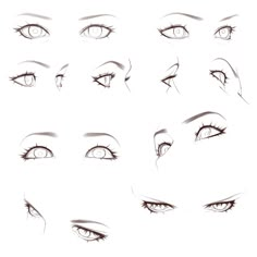 an image of various types of eyes with different angles and shapes on the bottom half of each eye