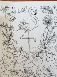 a drawing of a flamingo surrounded by tropical plants and flowers with the words tropical 8 on it