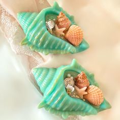 two seashells with shells in them on a table