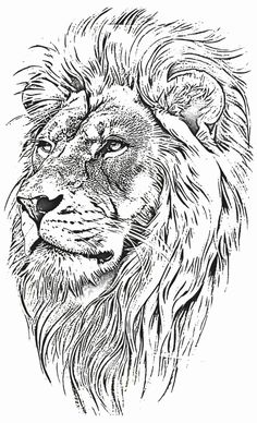 a black and white drawing of a lion's head with long mane, eyes closed