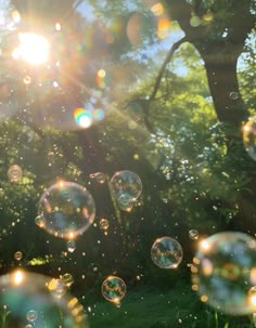 soap bubbles floating in the air next to a tree and grassy area with sunlight shining through it