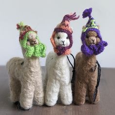 three llamas wearing knitted hats and scarves are lined up on a table