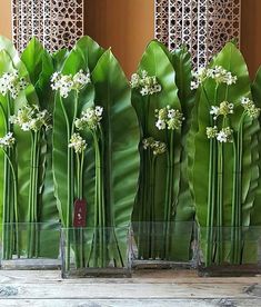 three vases with flowers and green leaves in them