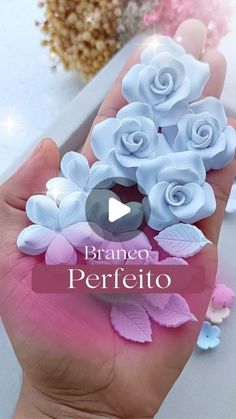 a person is holding some fake flowers in their hand with the words brano perfeito on it