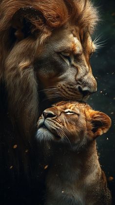 Lion Couple, Big Cats Photography, Lion King Drawings, Lion Toys, Wild Animal Wallpaper, Tiger Artwork, Lion Jewelry, Lion Photography, Lions Photos