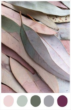 some leaves with different shades of green and purple on them, all in the same color scheme