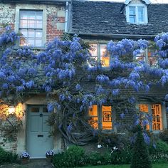 an old brick house with blue flowers growing on it's side and windows lit up at night