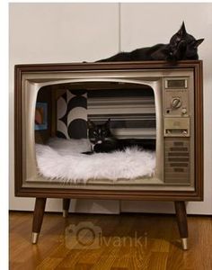 a black cat laying on top of an old fashioned tv with white fur around it