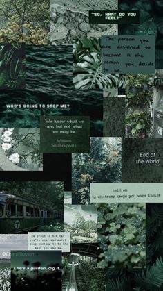 a collage of photos with words and trees