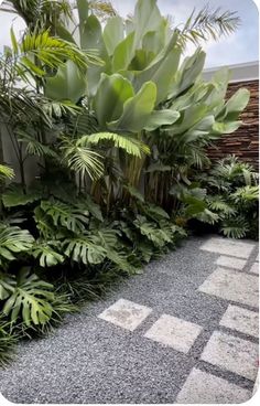 some very pretty green plants by the side of a building with no people in it