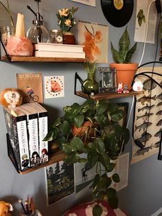 there is a potted plant in the corner of this room with books and pictures on the wall