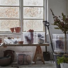 pots and plants sit on a table in front of a window with plastic bags around them