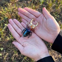 Stag-beetle brooch based on a big real insect. One-of-a-kind Unusual jewelry: real natural Beetle electroformed  with copper and  pure Gold finishing. Ruthenium finishing for create a superior design. The beetle lived a wonderful life of a male, fought with other bugs for his female and died after fulfilling his conjugal duty (you know what I mean). This individual is large for its species. After that, we found him in the forest and immortalized in metal. This is a real Stag-beetle that I turned into a brooch using the long process of copper electroforming. It takes between 12-24 hours to make. This process allows me to use opportunities that are not feasible with traditional metal-working techniques.  Item color may slightly vary based on your device monitor settings. Stag beetles are one Beetle Brooch, Copper Electroforming, The Beetle, Stag Beetle, A Wonderful Life, Jewelry Real, Unusual Jewelry, Wonderful Life, In The Forest