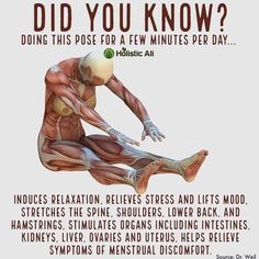 a poster with an image of a man's muscles and the words did you know?