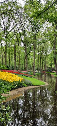 a pond surrounded by lots of trees and flowers