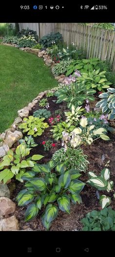 Rock Garden Landscaping, Have Inspiration, Backyard Garden Design, Plants And Flowers