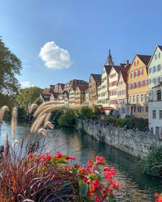 a river running through a city with tall buildings on both sides and red flowers in the foreground