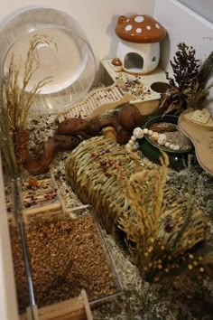 an assortment of dried plants and other items on the floor