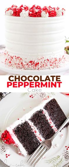 a slice of chocolate peppermint cake on a plate