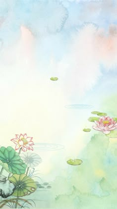 water lilies are floating in the pond