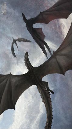 two dragon like creatures flying through the sky