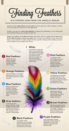 Feather Color Meaning, Mystical Items, Finding Feathers, Simple Signs, Wiccan Spell Book, Witchcraft Spell Books, Witch Spell Book