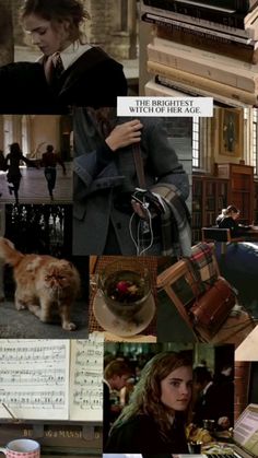 the collage shows many different scenes in harry potter's house, including an orange cat