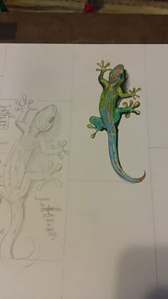 a drawing of a lizard and a gecko sitting on top of a piece of paper