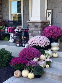 some purple flowers and white pumpkins are on the front steps in front of a house