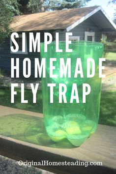 a green plastic cup sitting on top of a wooden table with the words simple homemade fly trap