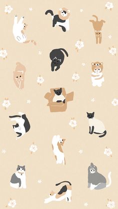 an image of cats and dogs in different positions on a beige background with white flowers