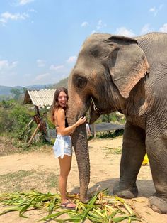 a woman standing next to an elephant on top of a dirt field with green plants