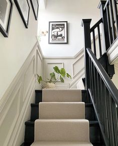 a staircase with pictures on the wall and carpeted steps leading up to the second floor