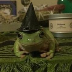 a frog with a black hat sitting on top of a green table cloth and looking at the camera