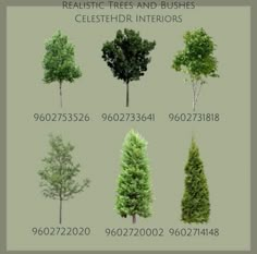 various types of trees and bushes in different sizes, from the top to the bottom