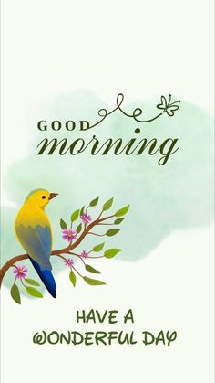 a bird sitting on top of a tree branch with the words good morning have a wonderful day