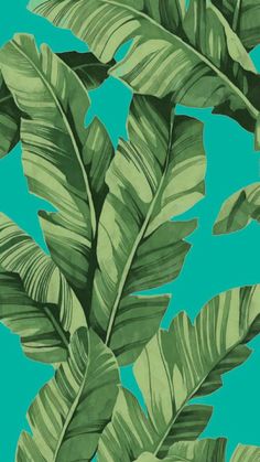 a green plant with large leaves on a blue background in an art print style that is suitable to be used as wallpaper or fabric