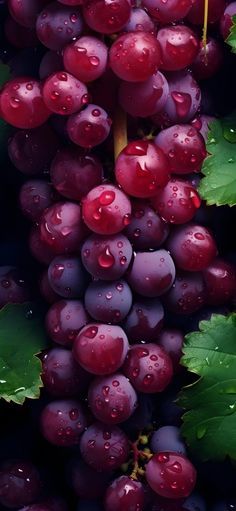 grapes with drops of water on them and green leaves