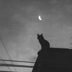 a black and white photo of a cat sitting on top of a roof looking at the moon