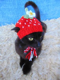 a black cat wearing a red knitted strawberry hat on top of a fluffy rug