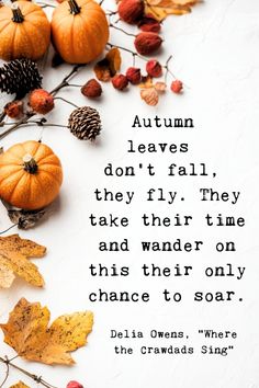 An I love fall quote about crisp air and colorful leaves on an aesthetic background, reflecting autumn’s charm. Love Fall Quotes, Autumn Poetry, Mystical Pictures, Cobbler Crust, Pile Of Leaves, New Month Quotes, Small Pleasures, Month Quotes