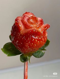 a red rose with water droplets on it