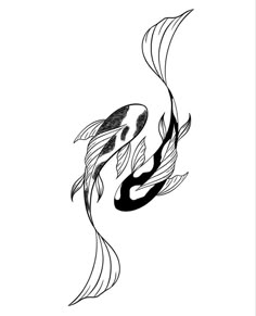 a black and white drawing of two koi fish swimming in the water with long tails