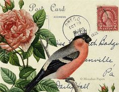 a bird sitting on top of a branch next to a pink flower and postage stamp